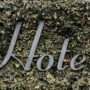 hotel sign in vines 2022 02 02 05 07 08 utc 90x90